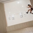 대구시립무용단 DCDC 이미지