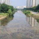하천(충훈2교) 이미지