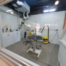 반짝반짝내작은개 이미지