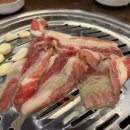 본가 사하점 이미지