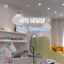 네일,금비