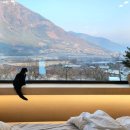 코코앤망고 이미지