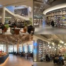 명품 벚꽃 길 이미지