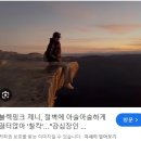 시드니] 시드니 대한관광여행사 블루마운틴 예약해서 오전&amp;선셋시티 워킹투어 다녀온 내돈내산 추천 후기!