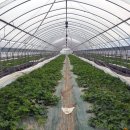 김창선농장 이미지