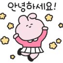 르벨로뷰티