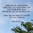 타기돈