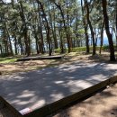 해인캠핑장 | 4.연곡 해변 솔향기 캠핑장 후기 및 코스(A107)