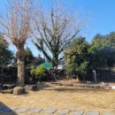 북촌리1925 이미지