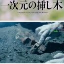송림인쇄명함나라 | [도쿄 일상+1503日] 안된다는 맘은no no no no✨ 무족권 된다.