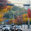 엑스포과학공원 주차장 이미지