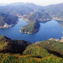 한반도농업협동조합 티스토리