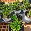 영풍상회 이미지