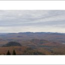 로렌시아 이미지