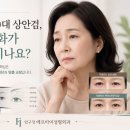 에프아이성형외과의원 네이버블로그