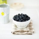 별자리심리 이미지