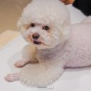 군파크호텔 이미지