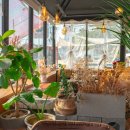 별아라카페 이미지