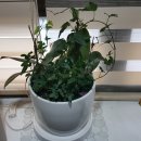 클럽밸런스5  광주진월점 이미지