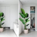 신원아파트 이미지