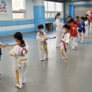 한국체대 석사 태권도장 이미지