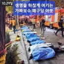 오늘 1029 참사 2주기 네요 이미지