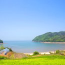 욕지바다낚시민박 | 인천 섬여행 &lt;자월도섬&gt; 2박3일 가족여행