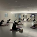 강서구발레학원 발레 드 뤼미에르 무용학원에서 아이 발레배워요