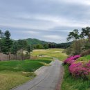 포레스트힐cc 이미지