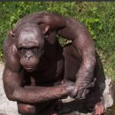 두우팔헬스 이미지