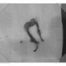 토곡동물병원 이미지