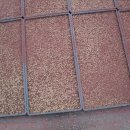 신세계농장 이미지