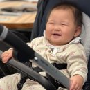 우리소 황소곱창 | 화정동 한우곱창 우리소황소곱창 방문 후기