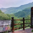 좌구산자연휴양림 이미지