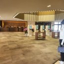 능원로 | [경기용인] 레이크사이드 cc (동코스 out, 남코스out) 라운드 후기 ~!!