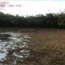 어등산주유소 이미지