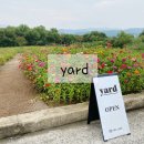 서라벌초등학교 | 경주 인생샷 감성 브런치 카페 [야드]