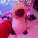 택지오락실 이미지