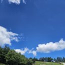 풀잎목장 | 또 삼척 여행 ③ 평창 삼양 라운드힐, 양떼목장