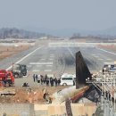 (속보) 무안공항 파산각 이미지