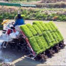 천운1호 이미지