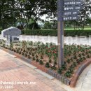 나무해담 이미지