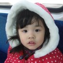 논데이