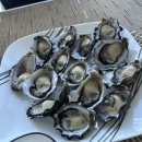 (주)미스터푸드 | 해피뉴이어! 캔버라에서 두쫀쿠 만들어서 선물한 12월 마지막, 1월 첫주 일상