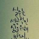 해운대강남LCT공인중개사사무소 네이버블로그