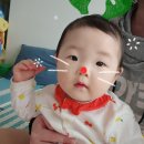 청년피자김해장유점 네이버블로그