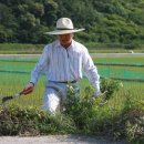 ㈜반딧불이 농업회사법인 이미지