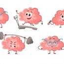 정우관 Daum카페