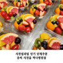 사천동물병원 | 사천컵과일 인기 단체주문 쥬씨 사천읍 하나병원점