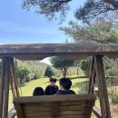 돈내코 | 제주 숲카페 추천 🌿 서귀포 돈내코 숨은 힐링카페 다녀온 후기